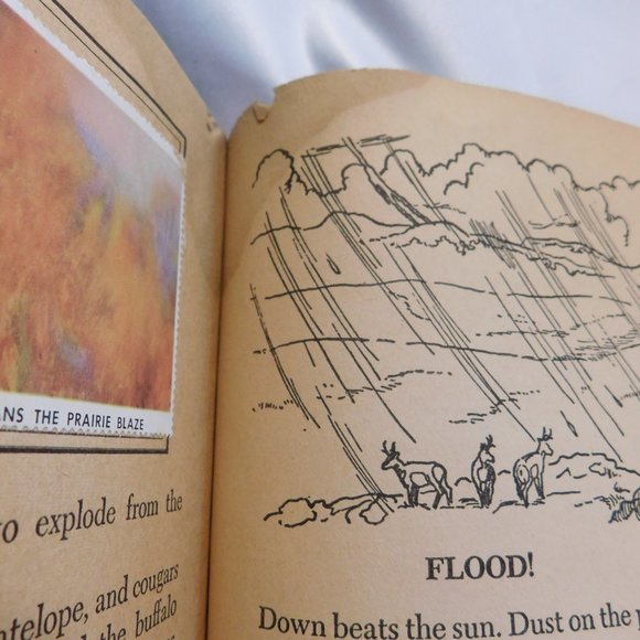 Walt Disney's True Life Adventures Stamp Book VINTAGE 1955 - Picture 8 of 9